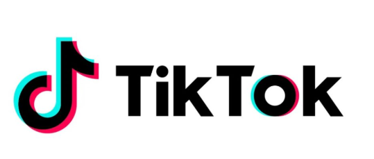TikTok Logo